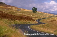 Winding road, Perthshire, Scotland - Perthshire, Ecosse - 16024 Winding road, Perthshire, Scotland - Perthshire, Ecosse - 16024