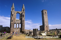 St Andrews Cathedral, Scotland - St Andrews, Ecosse  - 19173