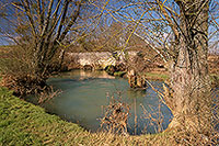 Ruisseau des Bouvades, près de Toul, Lorraine, France - 17113