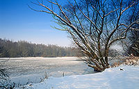 La Moselle prise par les glaces en hiver, près de Toul, France - 17130