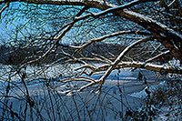 La Moselle prise par les glaces en hiver, près de Toul, France - 17132