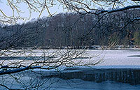 La Moselle prise par les glaces en hiver, près de Toul, France - 17133