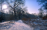 Paysage d'hiver, vallée de la Moselle, France - 17134