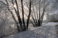 Paysage d'hiver, vallée de la Moselle, France - 17135