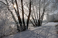 Paysage d'hiver, vallée de la Moselle, France - 17135 Paysage d'hiver, vallée de la Moselle, France - 17135