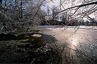 Etang pris par les glaces en hiver, près de Toul, France - 17140