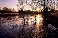 Etang pris par les glaces en hiver, près de Toul, France - 17141