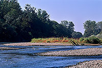 La Moselle sauvage près de Toul (54), Lorraine, France - 17154