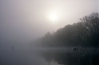 Moselle et pêcheur, petit matin, Lorraine, France - 17159