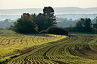 Champs cultivés à Fontenoy, vallée de la Moselle, France - 17172