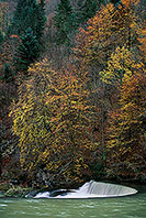 Rivière du Jura, France - River, Jura - 17076