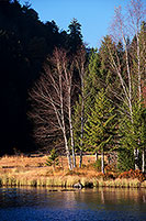 Lac de Lispach, près de la Bresse, Vosges, France - 17267