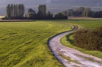 Plaine agricole pres de Chatillon, Marne (51), France - FMV356