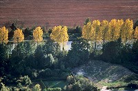 Mareuil-sur-Ay, Marne (51), France. - FMV334