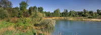 Site protege de Vesigneul, Marne (51), France - FMV292 Site protege de Vesigneul, Marne (51), France - FMV292