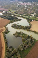 Marne, vers Venteuil, Marne (51), France - FMV010 Marne, vers Venteuil, Marne (51), France - FMV010