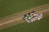Agriculture, Champagne-Ardenne, France - FMV117 Agriculture, Champagne-Ardenne, France - FMV117