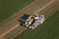 Agriculture, Champagne-Ardenne, France - FMV118 Agriculture, Champagne-Ardenne, France - FMV118