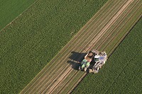 Agriculture, Champagne-Ardenne, France - FMV119