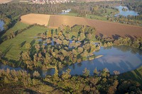 Marne, vers Vesigneul, Marne (51), France - FMV160 Marne, vers Vesigneul, Marne (51), France - FMV160