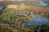 Marne, vers Vesigneul, Marne (51), France - FMV160