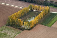 Reuil, vallee de Marne (51), France - FMV243 Reuil, vallee de Marne (51), France - FMV243