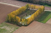 Reuil, vallee de Marne (51), France - FMV243