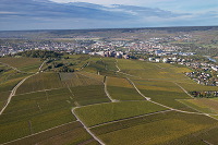 Epernay et vignobles, Marne (51), France - FMV253