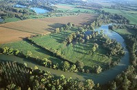 Marne et patures, Vesigneul (51), France - FMV348 Marne et patures, Vesigneul (51), France - FMV348