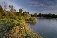 Vesigneul, site protege, Marne (51), France - FMV369 Vesigneul, site protege, Marne (51), France - FMV369