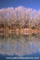 Vue sur le Canal de l'Est en hiver, Meuse - 18259