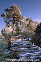 Meuse - coteau calcaire en hiver - 18305