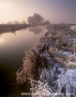 Petite Meuse en hiver, Rouvrois, Lorraine, France - FME127