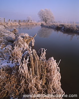 Petite Meuse en hiver, Lorraine, France - FME129