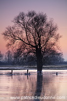 Vallee de Meuse en hiver, Meuse, Lorraine, France - FME054