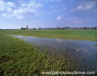 Mouzay, Meuse - Prairies humides, vallee de la Meuse - 18457