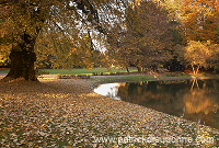 Parc, Chateau de Marbeaumont, Bar-le-Duc, France - FME023