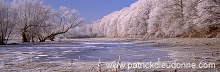 Arbres et givre, Meuse en hiver, Lorraine, France - FME154