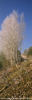 Vallee de Meuse en hiver, Lorraine, France - FME166 Vallee de Meuse en hiver, Lorraine, France - FME166
