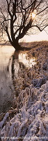 Vallee de Meuse en hiver, Lorraine, France - FME169 Vallee de Meuse en hiver, Lorraine, France - FME169