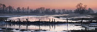 Vallee de Meuse en hiver, Meuse, Lorraine, France - FME029