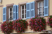 Eguisheim, Haut Rhin, Alsace, France - FR-ALS-0227