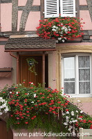 Eguisheim, Haut Rhin, Alsace, France - FR-ALS-0229 Eguisheim, Haut Rhin, Alsace, France - FR-ALS-0229