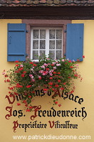 Eguisheim, Haut Rhin, Alsace, France - FR-ALS-0251 Eguisheim, Haut Rhin, Alsace, France - FR-ALS-0251