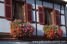 Kientzheim, Haut Rhin, Alsace, France - FR-ALS-0293 Kientzheim, Haut Rhin, Alsace, France - FR-ALS-0293