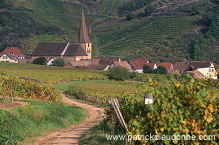 Niedermorschwihr, Haut Rhin, Alsace, France - FR-ALS-0424