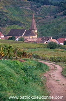 Niedermorschwihr, Haut Rhin, Alsace, France - FR-ALS-0425