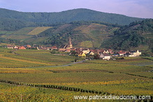 Niedermorschwihr, Haut Rhin, Alsace, France - FR-ALS-0426