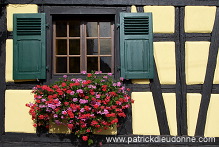 Niedermorschwihr, Haut Rhin, Alsace, France - FR-ALS-0432 Niedermorschwihr, Haut Rhin, Alsace, France - FR-ALS-0432