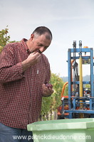 Vendange en Alsace (Grapes Harvest), Alsace, France - FR-ALS-0589